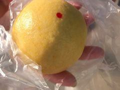 野菜团子-泓盛花园