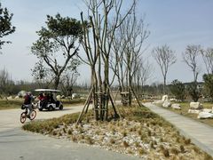 -白鹭湾湿地公园