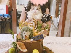 -杜哈夫DOUX RÊVE·生日蛋糕(日月光店)