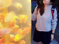 -苏州海洋馆