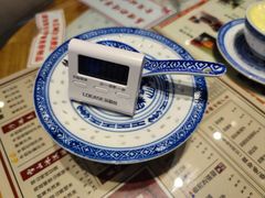 招牌姜撞奶-捷信牛奶甜品世家(合生汇店)