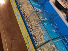 -火舞泰·泰式海鲜火锅餐厅(世纪城店)