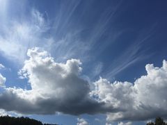 -富田农场