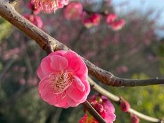 -绍兴镜湖国家城市湿地公园