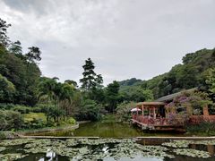 -云溪植物园