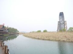 android_upload_pic-新木器时代餐厅(太湖新天地店)
