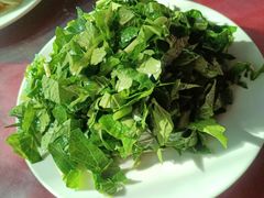 -南窖乡水峪村山情农家