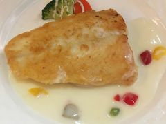 -麦茜哥牛扒城(中银店)