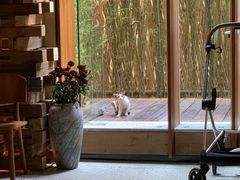 -天水蔬食料理(树德之光店)
