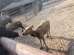-无锡动物园·太湖欢乐园