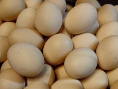 -尚竹阁冬瓜盅·18年地标美食(平洲店)