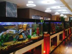 -水立方国际汤泉(六一中路店)