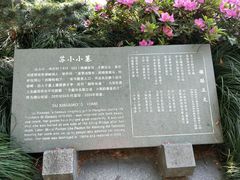 -杭州西湖风景名胜区-钱塘苏小小之墓