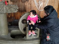 -长田漾湿地公园