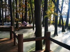 -东湖落雁景区