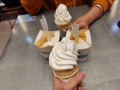 -麦当劳(SM城市广场店)