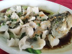 鲈鱼-台山美食一绝阿四台山黄鳝饭(阿四创作店)