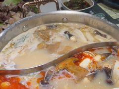 -椰子湾·海南火锅·糟粕醋·椰子鸡(正大广场店)