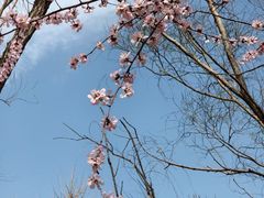 -滨河世纪广场公园