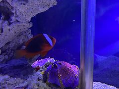 -太平洋海底世界