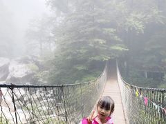 -青峰峡国家森林公园