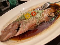 海南星斑-上海小南国(国会店)