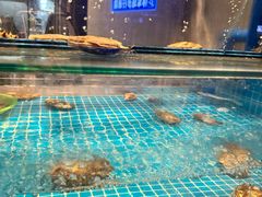 -桂马·日本料理·海胆·海鲜饭·酒场(民主广场店)