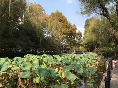 -上海鲁迅故居