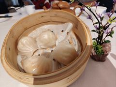 -陶缘一号·四季缘·老字号顺德菜·户外婚礼家宴(西滘店)