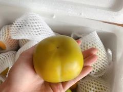 -塔斯汀中国汉堡(江宁万达店)
