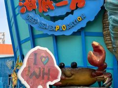 -海合安武汉极地海洋公园