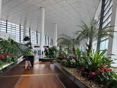 -郑州新郑国际机场-T2航站楼