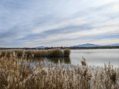 -野鸭湖国家湿地公园