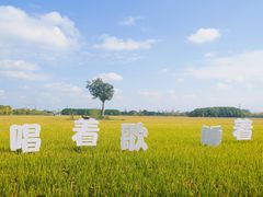 -嘉北郊野公园