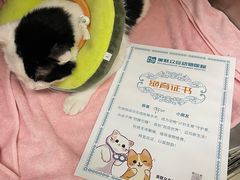 -美联众合24小时·皮肤科·外科·全科诊疗中心(华苑分院)