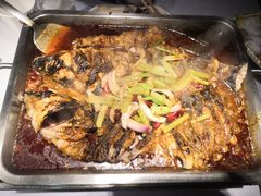 -鱼酷活鱼烤鱼(昆明路店)