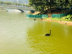 -中国移动南方基地