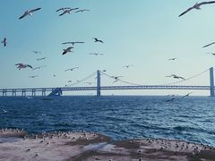-星海广场