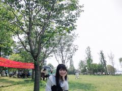 -鹅湖玫瑰文化园