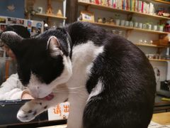 -猫的天空之城概念书店(杭州南宋御街店)