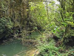 -怀托摩萤火虫洞