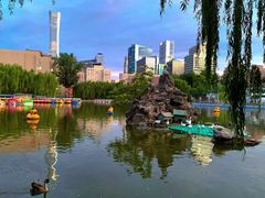 -团结湖公园