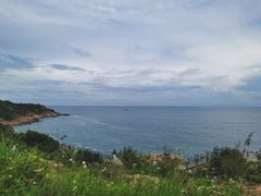 -广东惠东海龟国家级自然保护区