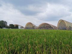 -中国天府农业博览园