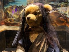 -济州岛泰迪熊博物馆