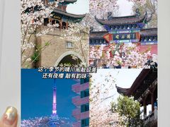 -巴公房子