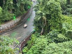 -圣淘沙天际线斜坡滑车