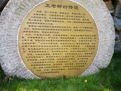 -千年银杏谷文化旅游区
