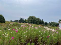 -济南国际园博园