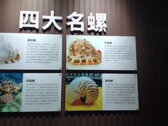 -贝壳王国博物馆